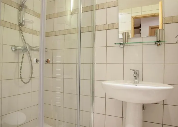 Petite Savoyarde - Apartment *